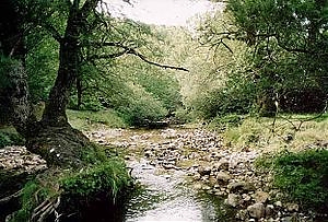 abruzzo, legambiente, parco, guida, blu