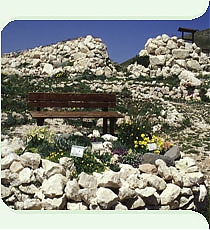 campo, imperatore, giardino, botanico