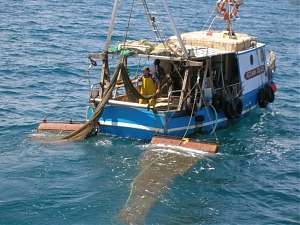 marineria, inps, pescatori