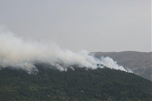 aquila, incendio, incendi, roio