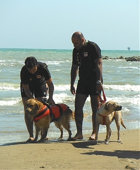 pescara, mare, cani, salvataggio