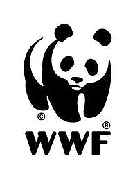 aquila, pescara, chieti, sulmona, ambiente, mare, wwf