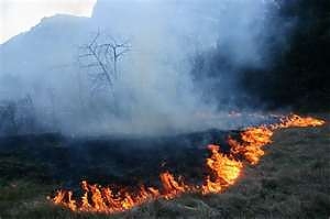 incendio, lanciano, morto, anziano, terreno, ustione