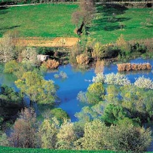 chiodi, pescara, penne, giuliante, enve