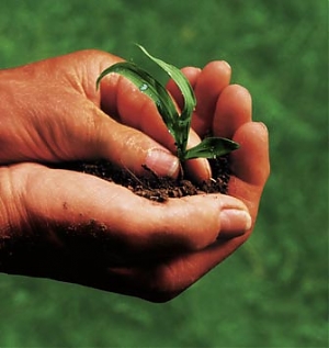 abruzzo, agricoltura, biologica