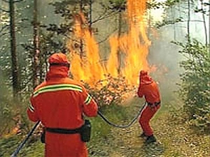 vasto, incendio, bosco, indagati, fosso, marino