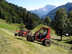 carabinieri, agricoltura, furto, arresti, penne, rimessa