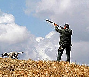 forestale, denuncia, caccia, sirente, velino