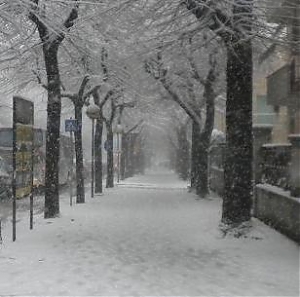 pescara, protezione civile, fiorilli, neve