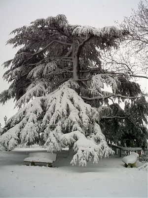 abruzzo, chieti, teramo, atri, l'aquila, autostrada, meteo, neve, maltempo, a25, a24, freddo, nevischio, precipitazioni, valle del salto