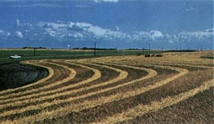 agricoltura, coldiretti, campo, istat, coltivato