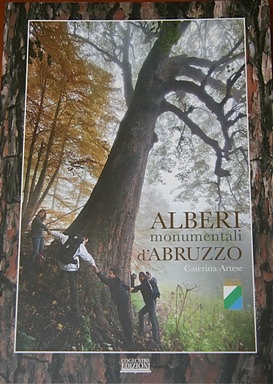 chiodi, abruzzo, regione, video, giuliante, assessore, intervista, alberi, monumentali, cogecstre