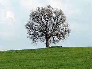 chieti, villamagna