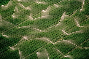 agricoltura, avezzano, l'aquila, marsica, fucino, irrigazione