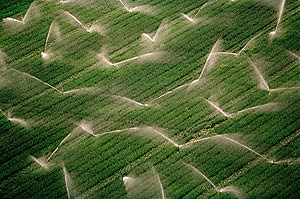 abruzzo, francavilla, agroalimentare