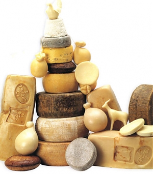 teramo, scuola infanzia, formaggio