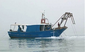 montesilvano, pescara, wwf, vongole, vongolare, ambientalisti