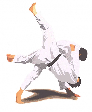 l'aquila, torneo, judo