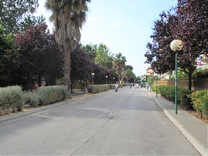 montesilvano, pescara, alberi, strada parco