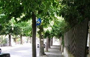 gip, Francavilla al Mare, protesta, dissequestro, tigli, viale nettuno, marciapiedi