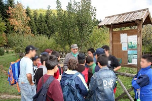 forestale, l'aquila, progetto, 