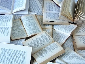 montesilvano, book on the beach
