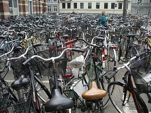giulianova, bicicletta, ladro
