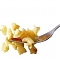 brevi