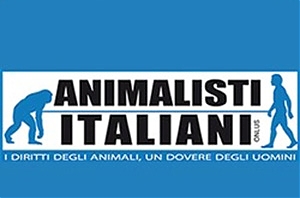 l'aquila, manifestazione, animalisti italiani