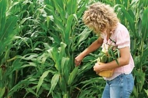 agricoltura, osservatorio, CIA, mezzo milione, agricola