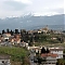brevi
