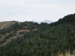 avezzano, monte salviano, marcia amicizia