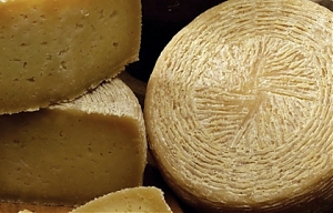 Castel del Monte, pecorino, giulia grilli, formaggio, pecore, Giulio Petronio, Azienda Zootecnica Gran Sasso, Canestrato, cheese