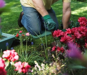 incredibile ma vero, giardinaggio, fai da te, bricolage