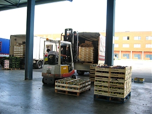 cepagatti, rilancio, sborgia, centro agroalimentare