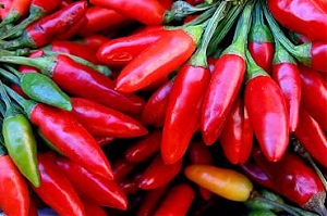 corropoli, peperoncino, galà del peperoncino