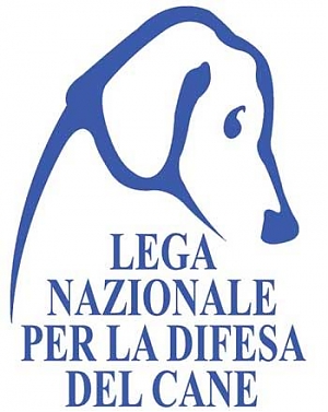 pescara, canile, maltempo, lega nazionale difesa del cane