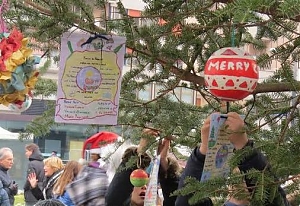 pescara, santilli, bambini, natale, abete, albero di natale