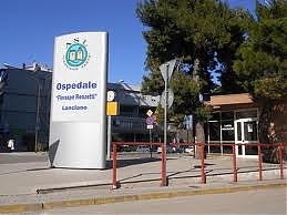 suicidio, copia