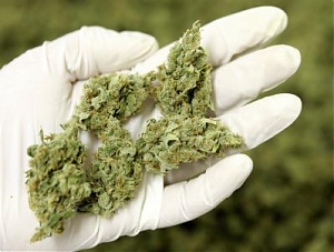 abruzzo, cannabis, uso terapeutico
