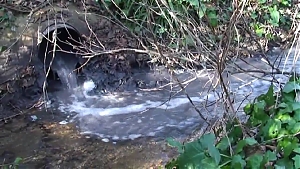 acqua, forum, arielli, Calvano; Vibrata, Cerrano; Arielli; Torrente Cena; Torrente Arno; Feltrino