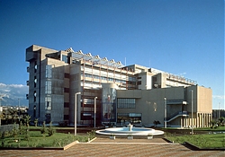 negri sud, amato