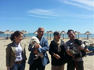 spiaggia, cani, chiavaroli, incremento, brambilla