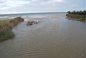 torrente vibrata, bioattivatori enzimatici