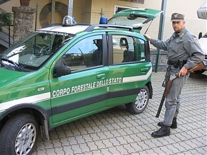 sequestro, corpo forestale