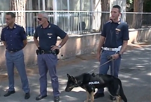 pescara, questura, cane, antidroga