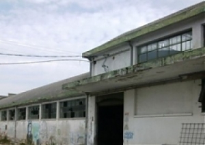 d'alfonso, ex cofa