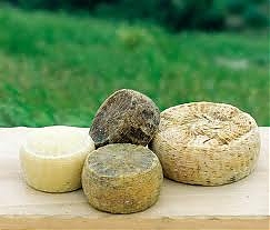 farindola, pecorino e pecorini