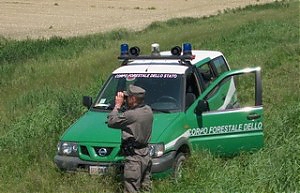 direzione marittima, corpo forestale