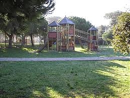 verde, urbano